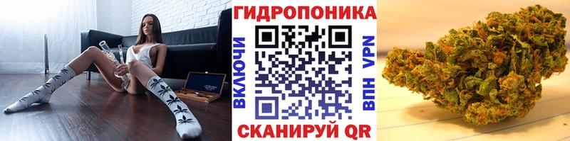 Конопля OG Kush  цена   KRAKEN вход  Балаково 